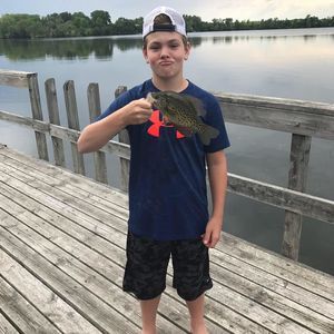 Meet your Posher, Trent